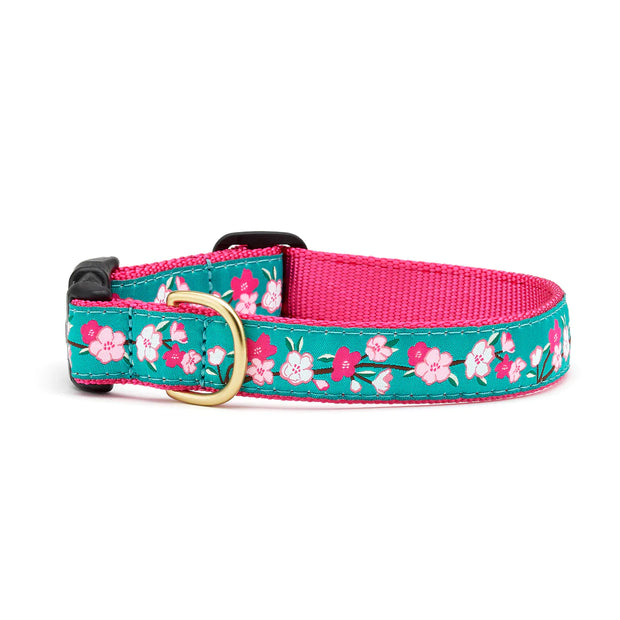 Cherry Blossoms Dog Collar