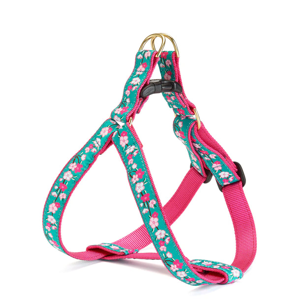 Cherry Blossom Dog Harness