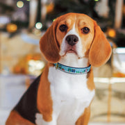 City Christmas Dog Collar