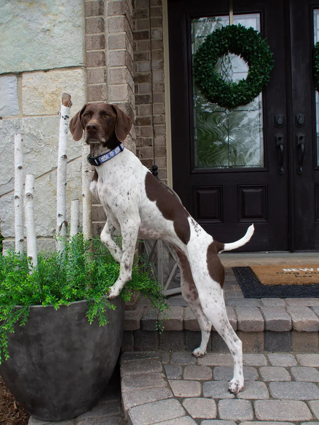 Daisy Dog Collar