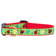 Ladybug Dog Collar