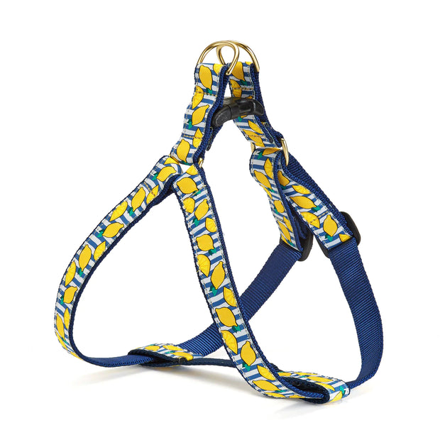 Lemonade Dog Harness