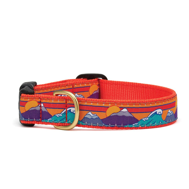 Ski N' Surf Dog Collar