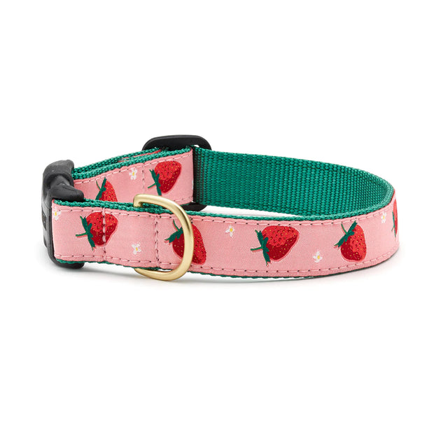 Strawberry Dog Collar