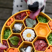 Honeycomb Design Enrichment Slow Feeder Bowl for Dogs